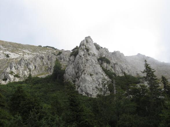 Kletterfels alter Fritz mit 9 Routen von V - VIII-
