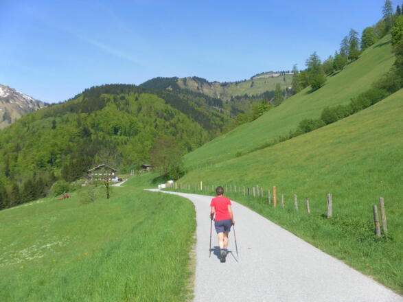 Waldrückren zum Ahornbüchsenkopf links der Roßfeldstraße