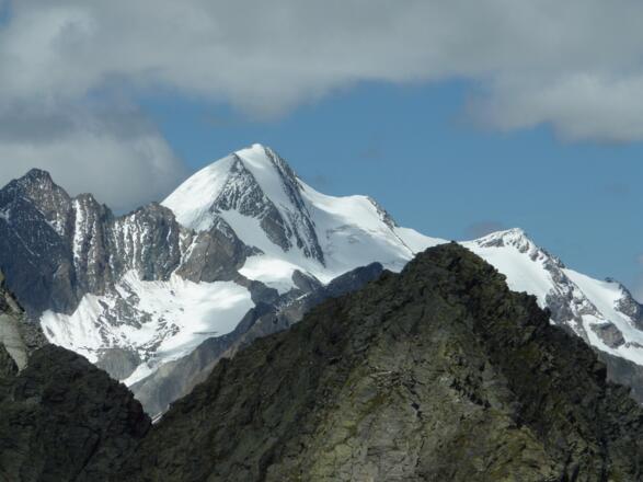 Die Rötspitze in ihrer Pracht