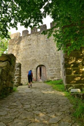Das Tor zur Ruine Windegg