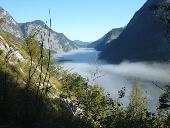 Morgenstimmung am Königsee