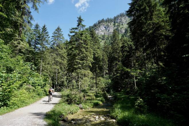Auffahrt zur Röthelmoosalm entlang Großer Wappbach