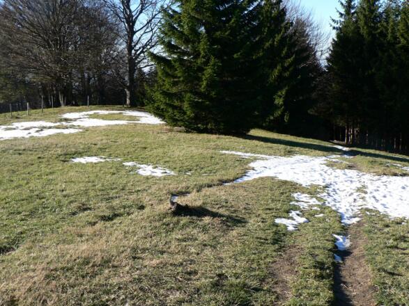 Von der Grünburger Hütte abwärts führt zuerst der Weg Nr. 480 ...