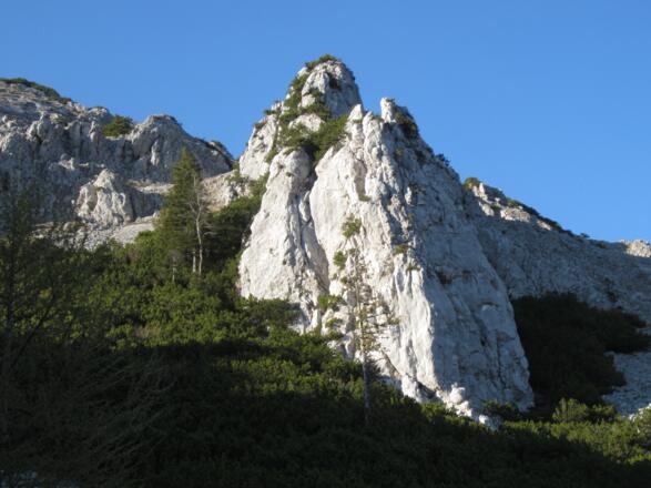 Alter Fritz - Klettergarten an der Barthlmahd Hochstaufen Südseite