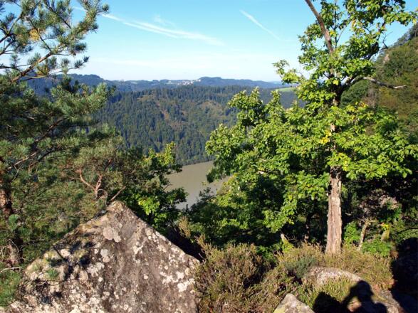 Kleiner Steinerfelsen 515m