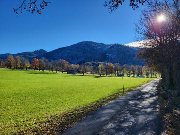 Blick zur Neureuth