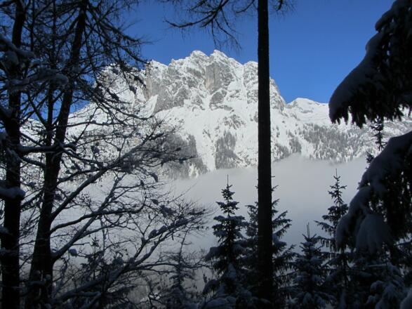 Die Morgensonne läßt die Reiteralpe erstrahlen