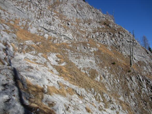 am Rinnkendlsteig