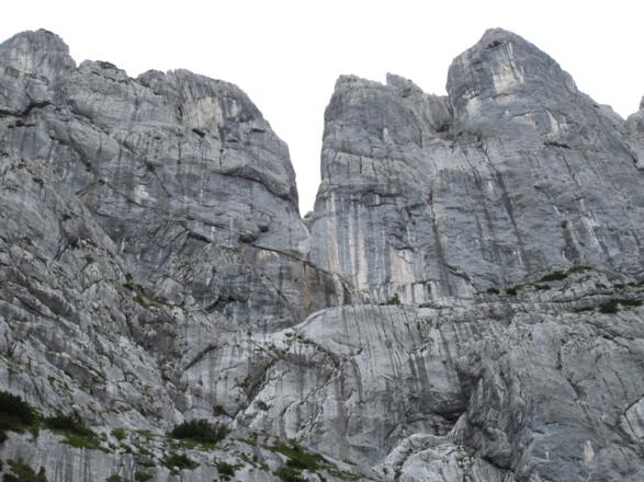 unverkennbar: Großer Trichter