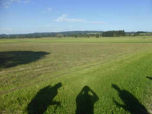 Entlose Getreidefelder auf der Schwäbischen Alb und in Oberschwaben