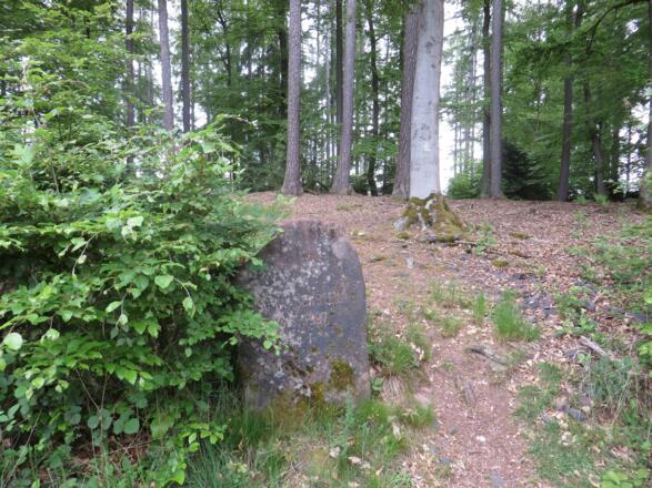 Der Schwabenstein