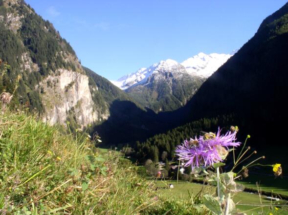 Wieder im Kötschachtal 1060m