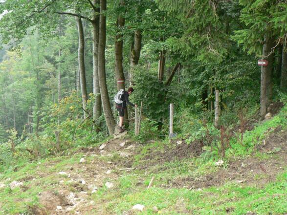 Wir steigen über den Zaun