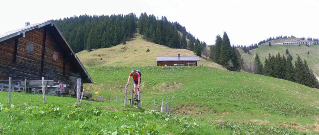 Dürrfeichtenalm
