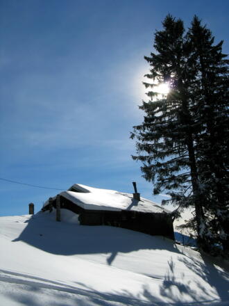 Auf unserem Weg gehen wir an der kleinen wunderbaren  Selbstversorgerhütte "Siegl-Alm" der Sektion Oberland des DAV auf 1334m vorbei!