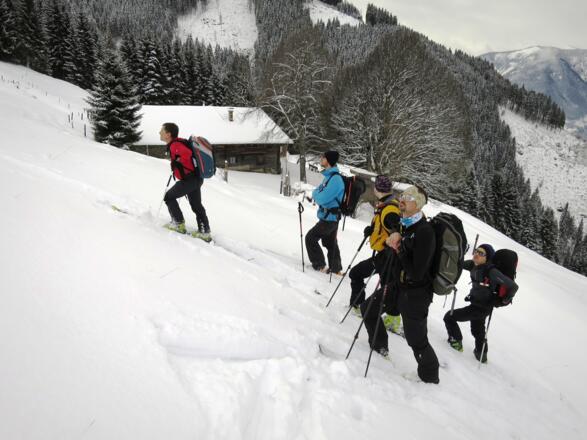 ... Dickalm führt und von dieser noch weiter nach oben ...