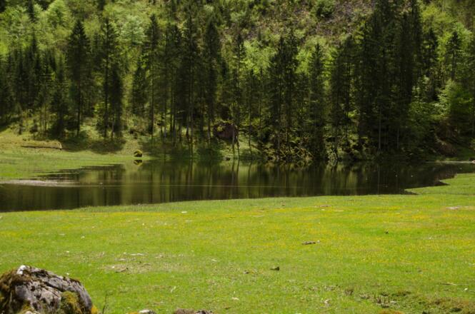 Ausläufer des Wasserfalls