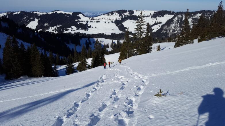 Der "Weg" zur Oberen Rind-Alpe