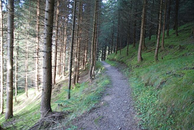 Steig im Wald über dem Golfplatz
