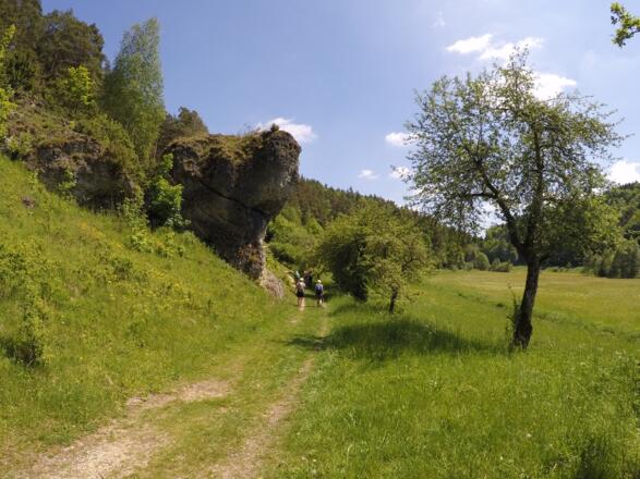 Idyllischer Wanderweg hinter Oberailsfeld