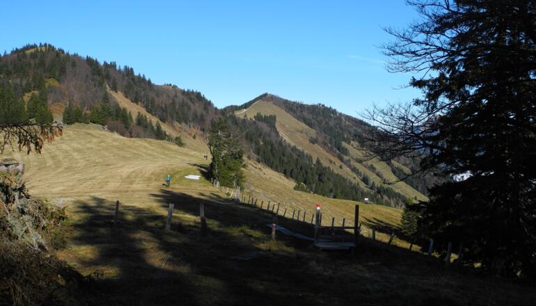 Von diesem Sattel geht es nach rechts zurück zum Ausgangspunkt.