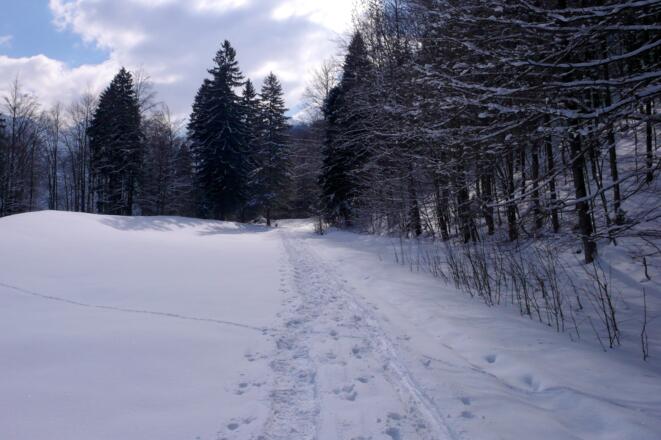 Die ersten Meter nach dem Parkplatz