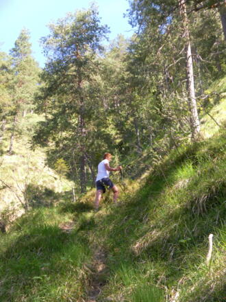 im Gänsbachtal
