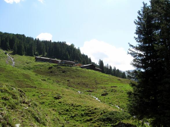 Nahe der Vorbergalm im ersten Drittel der Tour.