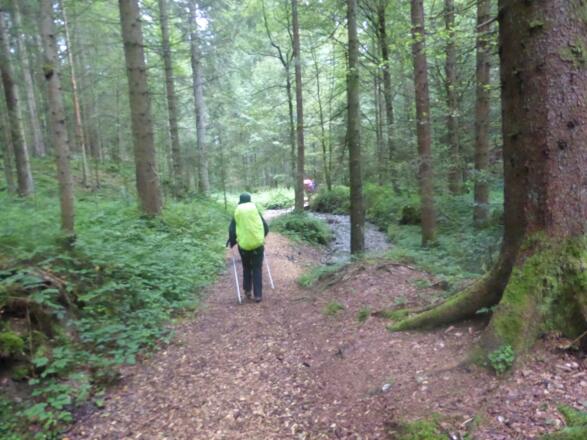 Auf dem Carl Hirnbeinweg.