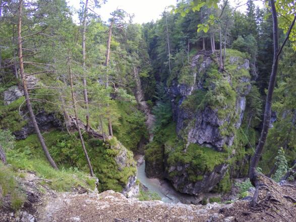 Tiefblick in die Seinsbachklamm