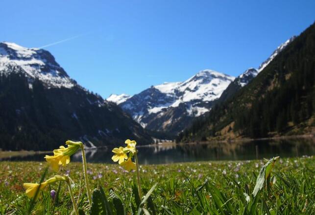 Haus Bergwelt Ferienwohnungen im Tannheimertal Vilsalpsee