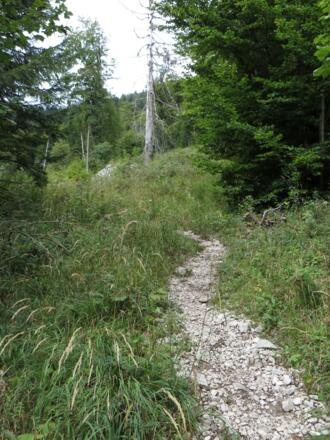 Beginn des zunächst unbezeichneten Goldtropfsteigs