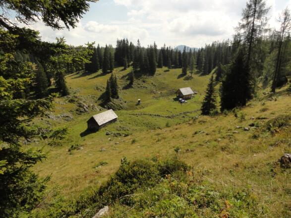 Weierbaueralm auf der Hochfläche