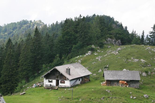Die Kohleralm, teilweise bewartet