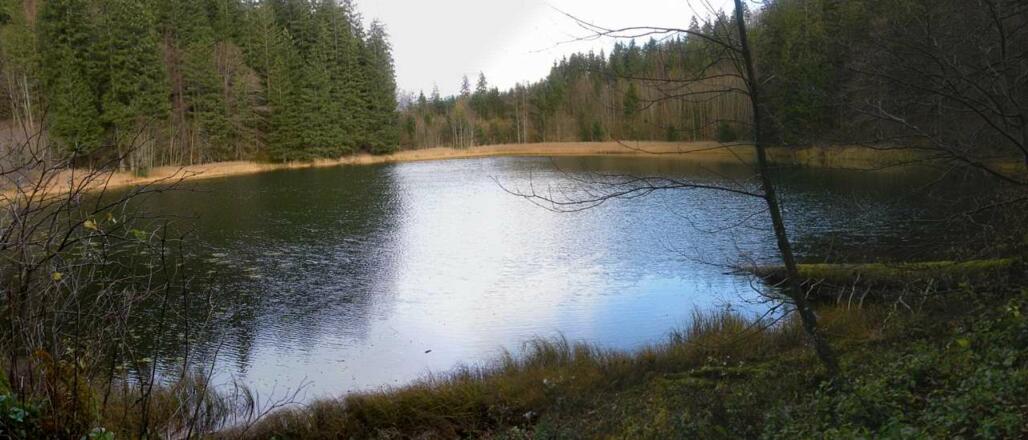 Blick zum Nordufer