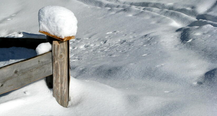 Das suchen wir - Pulverschnee in seiner schönsten Form!