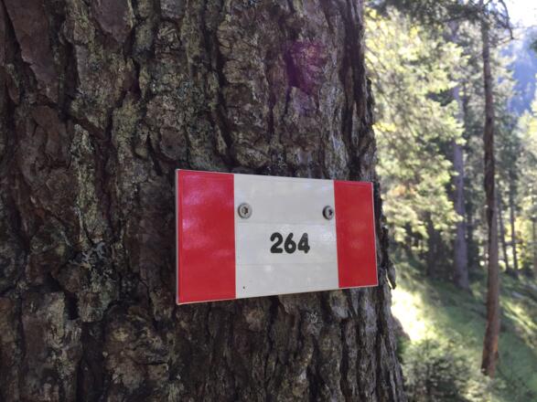Wgekennzeichen im Aufstieg zur Rehbergalm