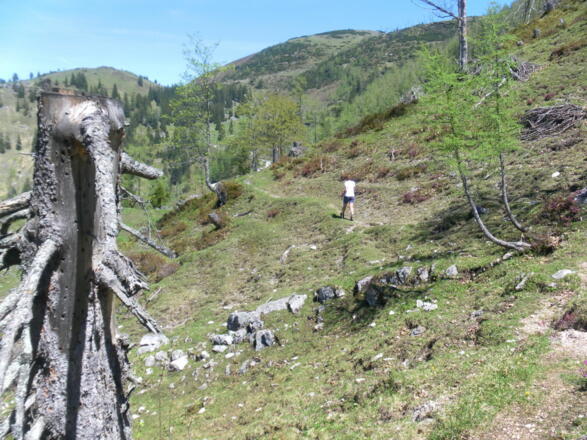 Kreuzanger