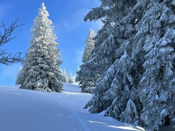 Skitour zum Immenstädter Horn