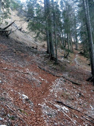 unmarkierter Pfad ums Mühlhörndl