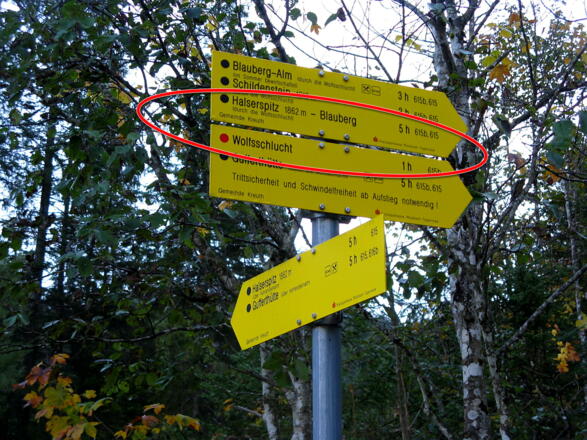 Wegweisung bei der Siebenhüttenalm in die Wolfsschlucht!