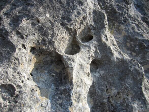 tolle Felsstrukturen - in dieser Art im Chiemgau einzigartig!