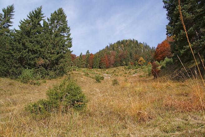 Gernweg - Mittelteil