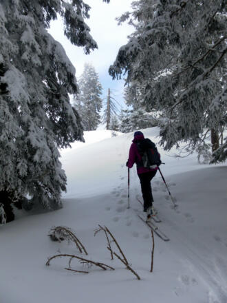 Zustieg zur Gipfelkuppe