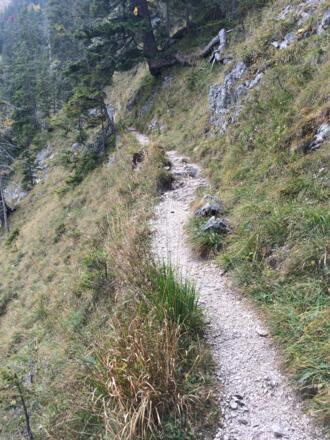 Typischer Weg am Lakaiensteig