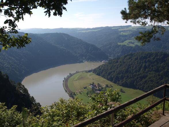 Großer Steinerfelsen 543m mit Donaublick