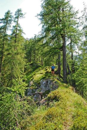 Im "Märchenwald" unter den Drei Türmen
