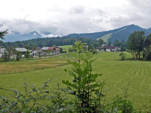 Blick auf Loipl