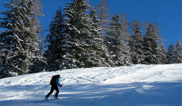 Im Pistenabschnitt - links und rechts gibt es immer wieder "Tiefschnee"!