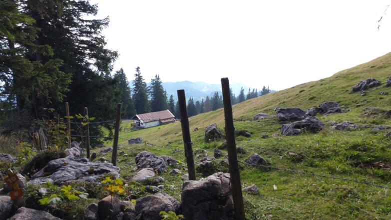 Auer-Alm